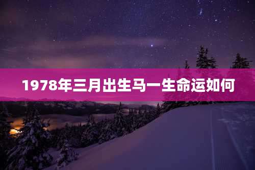 1978年三月出生马一生命运如何