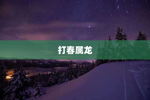 打春属龙