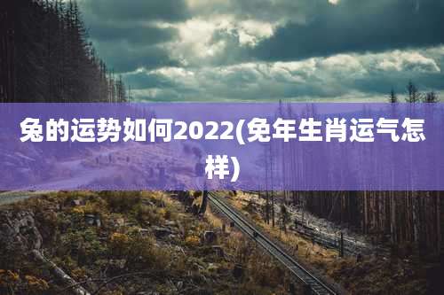 兔的运势如何2022(免年生肖运气怎样)