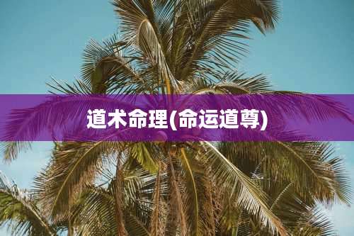 道术命理(命运道尊)