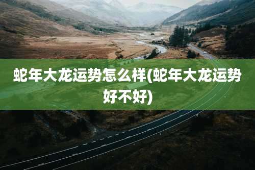 蛇年大龙运势怎么样(蛇年大龙运势好不好)