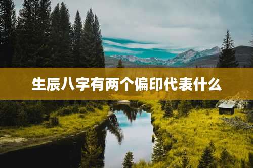 生辰八字有两个偏印代表什么