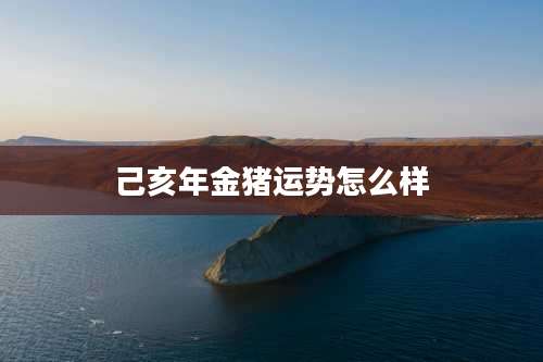 己亥年金猪运势怎么样