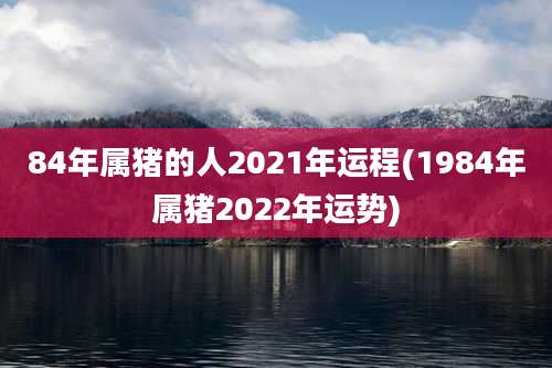 84年属猪的人2021年运程(1984年属猪2022年运势)
