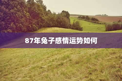 87年兔子感情运势如何