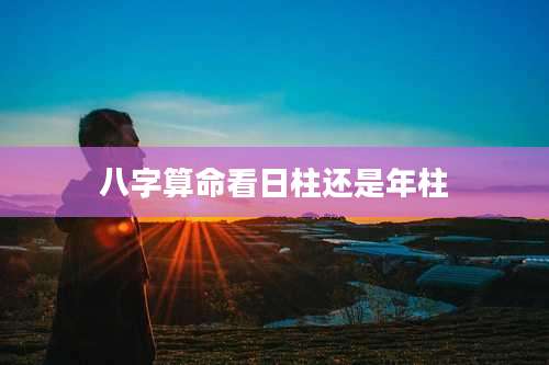 八字算命看日柱还是年柱