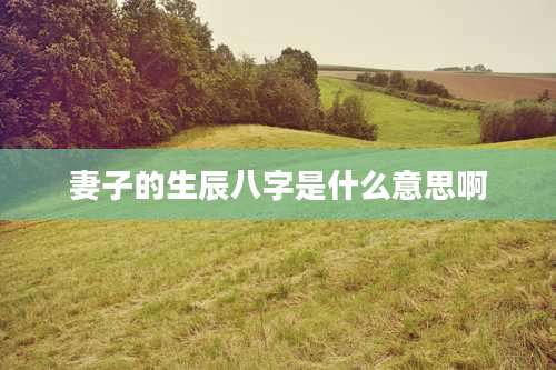 妻子的生辰八字是什么意思啊