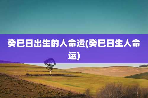 癸巳日出生的人命运(癸巳日生人命运)