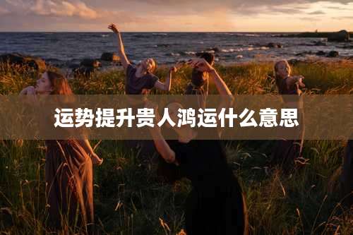 运势提升贵人鸿运什么意思