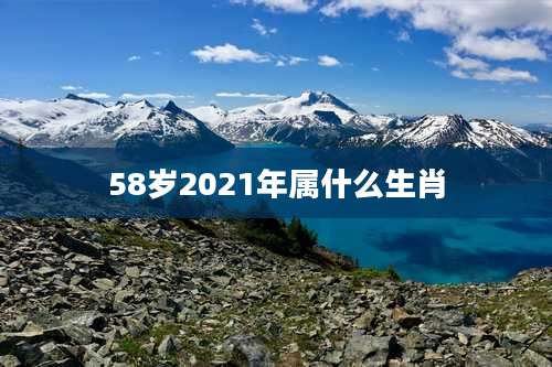 58岁2021年属什么生肖