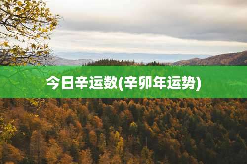 今日辛运数(辛卯年运势)