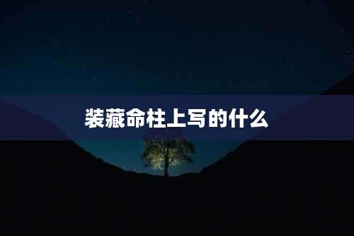 装藏命柱上写的什么