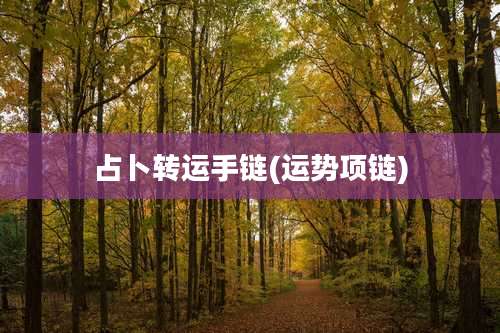 占卜转运手链(运势项链)