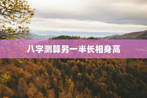 八字测算另一半长相身高