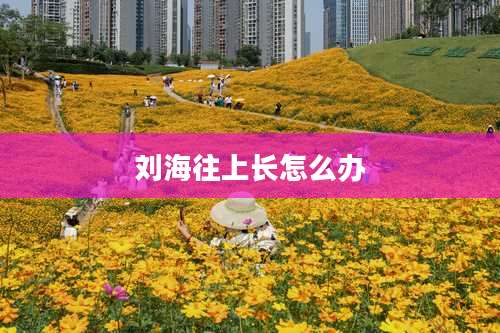 刘海往上长怎么办