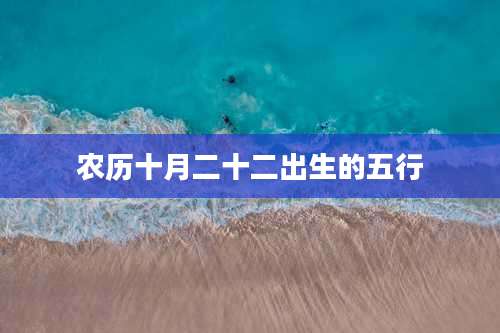 农历十月二十二出生的五行