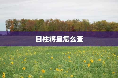 日柱将星怎么查