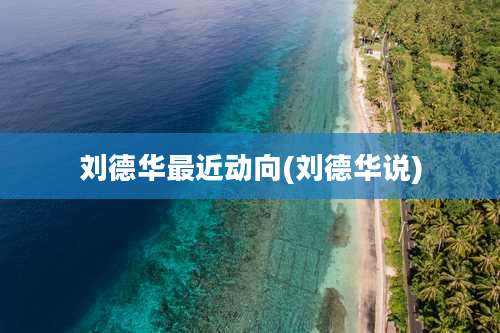 刘德华最近动向(刘德华说)