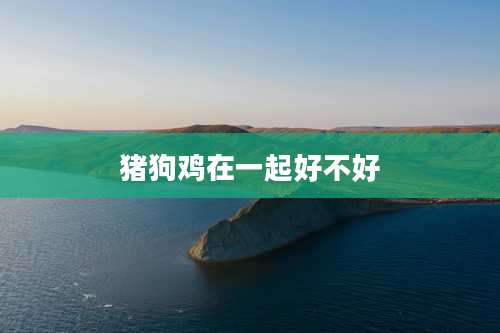 猪狗鸡在一起好不好