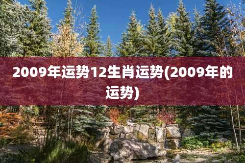 2009年运势12生肖运势(2009年的运势)