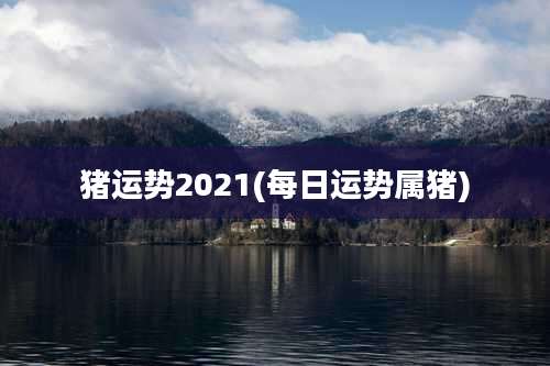 猪运势2021(每日运势属猪)