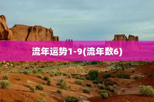 流年运势1-9(流年数6)
