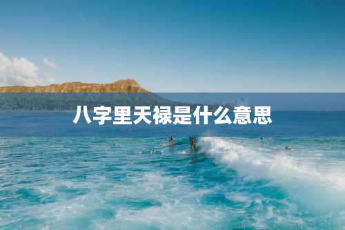 八字里天禄是什么意思