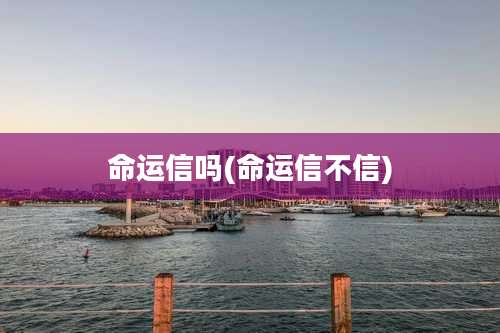 命运信吗(命运信不信)
