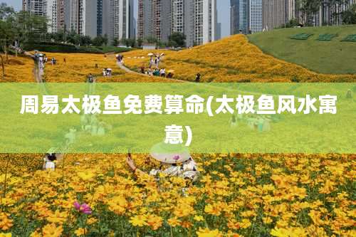 周易太极鱼免费算命(太极鱼风水寓意)