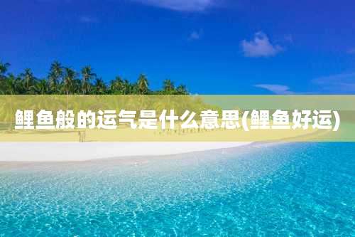 鲤鱼般的运气是什么意思(鲤鱼好运)