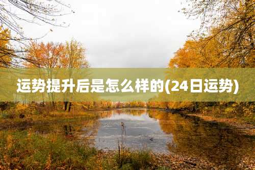 运势提升后是怎么样的(24日运势)