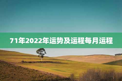 71年2022年运势及运程每月运程