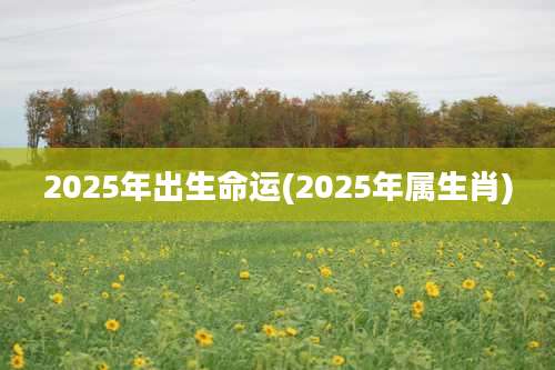 2025年出生命运(2025年属生肖)