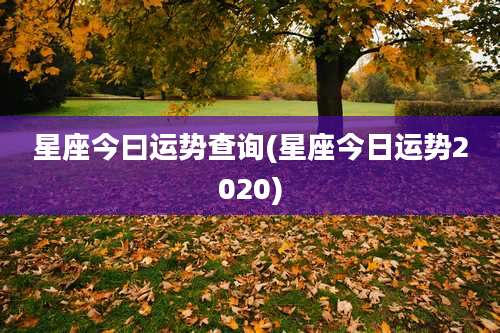 星座今曰运势查询(星座今日运势2020)