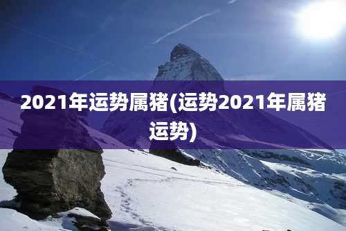 2021年运势属猪(运势2021年属猪运势)