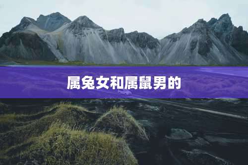 属兔女和属鼠男的