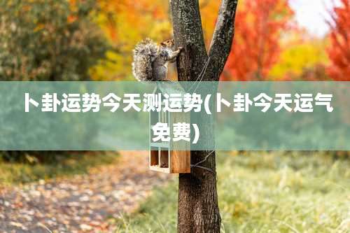 卜卦运势今天测运势(卜卦今天运气免费)