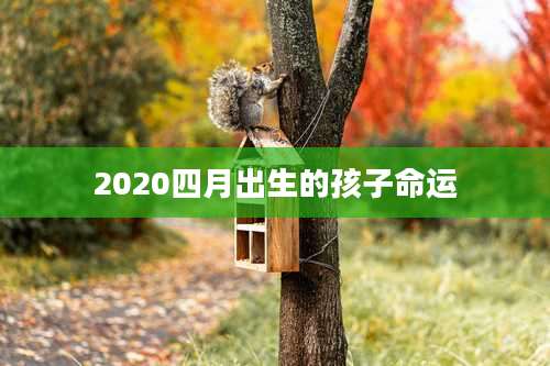 2020四月出生的孩子命运