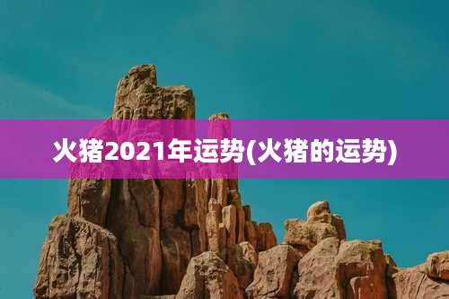 火猪2021年运势(火猪的运势)