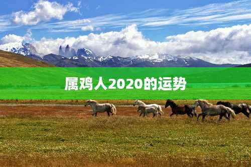 属鸡人2020的运势