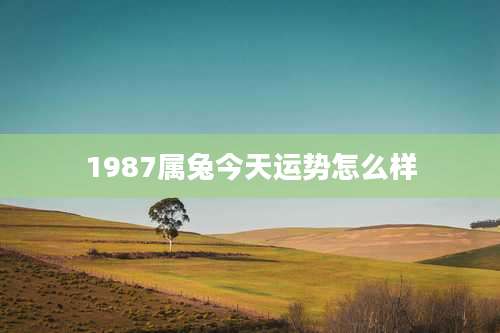 1987属兔今天运势怎么样