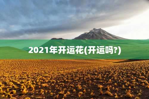 2021年开运花(开运吗?)