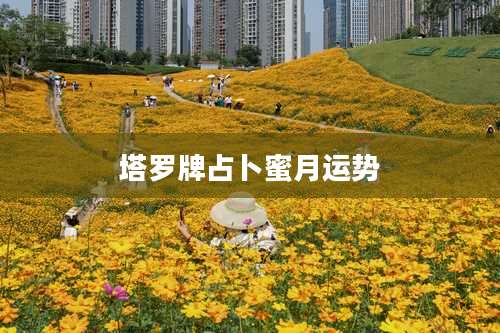 塔罗牌占卜蜜月运势