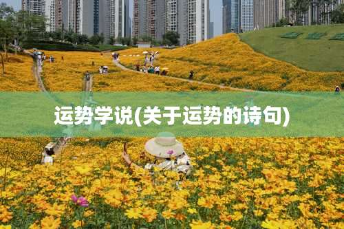 运势学说(关于运势的诗句)