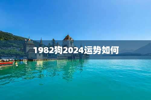 1982狗2024运势如何