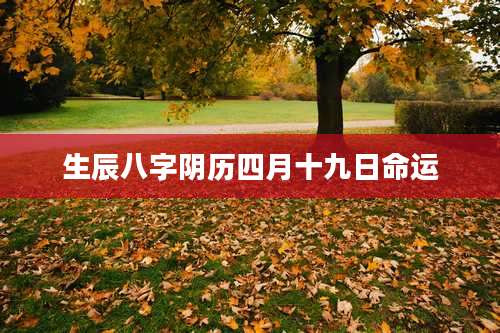 生辰八字阴历四月十九日命运