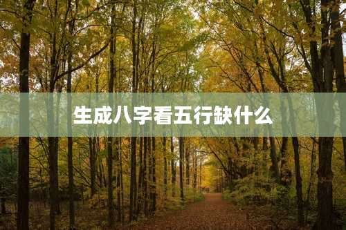 生成八字看五行缺什么