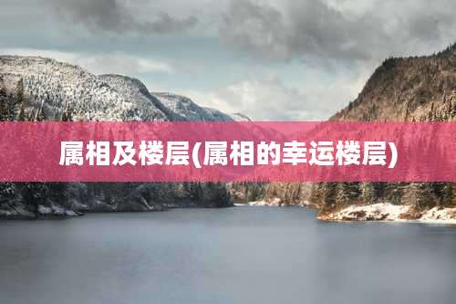 属相及楼层(属相的幸运楼层)