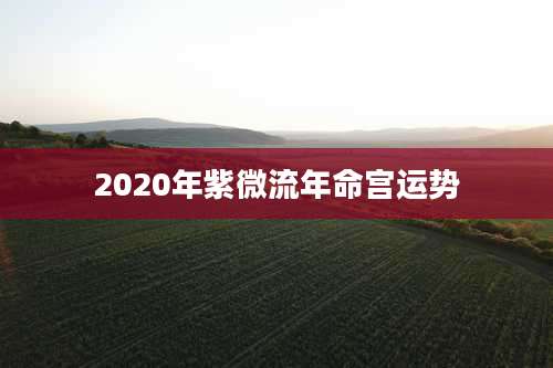 2020年紫微流年命宫运势