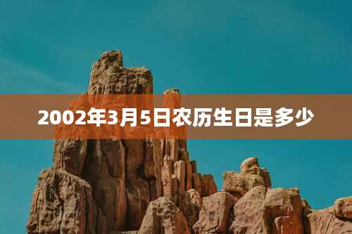 2002年3月5日农历生日是多少